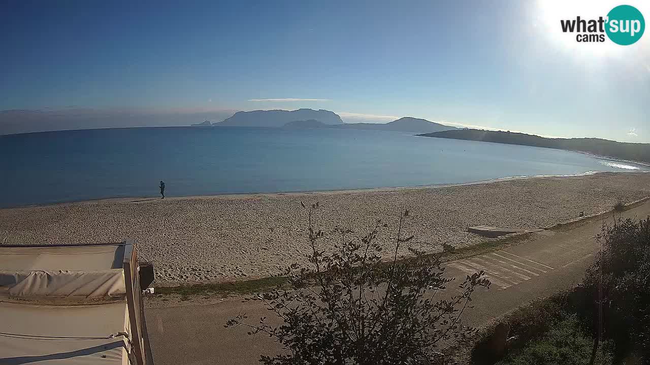 La plage de Pittulongu en direct webcam Olbia – Sardaigne – Italie