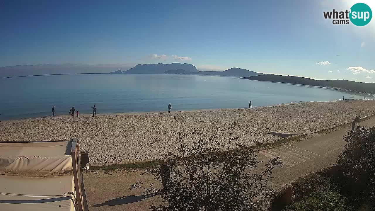 La webcam spiaggia Pittulongu vicino Olbia – Sardegna