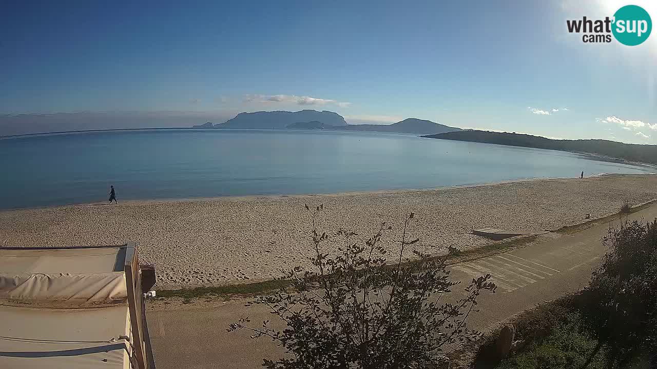 La webcam spiaggia Pittulongu vicino Olbia – Sardegna