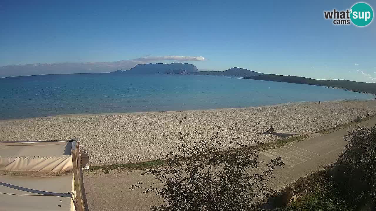 La plage de Pittulongu en direct webcam Olbia – Sardaigne – Italie