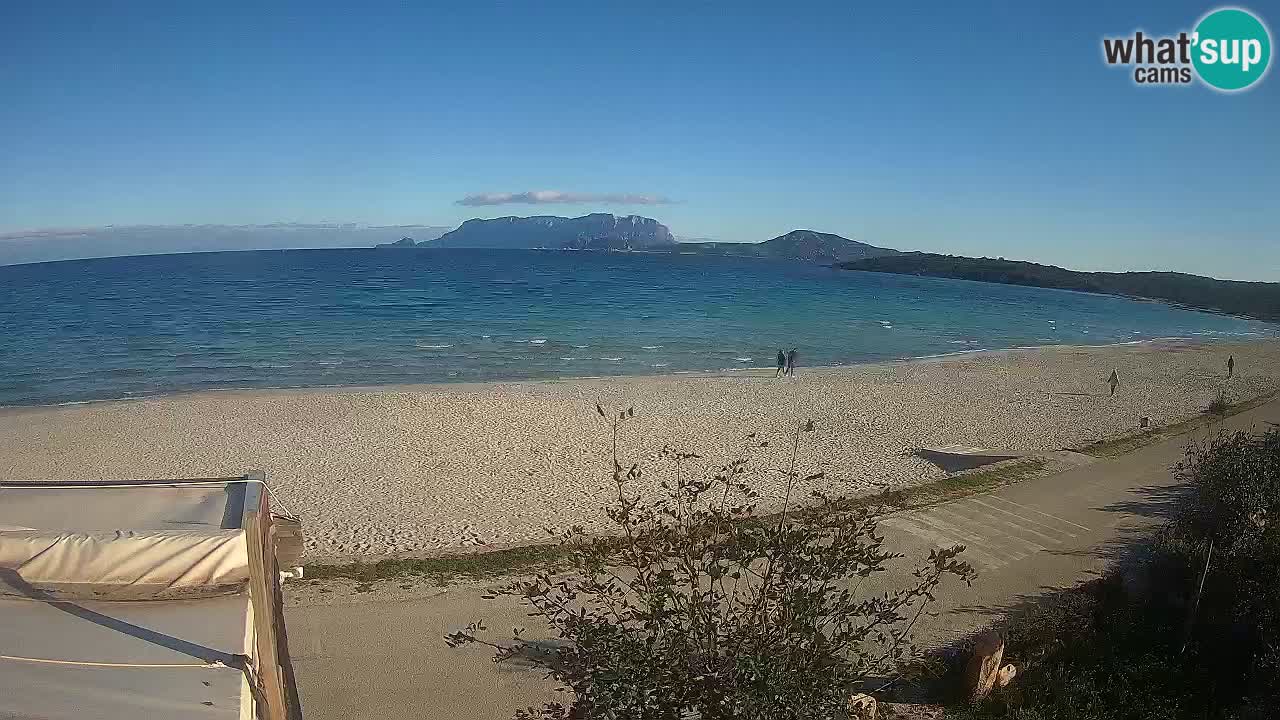 La plage de Pittulongu en direct webcam Olbia – Sardaigne – Italie