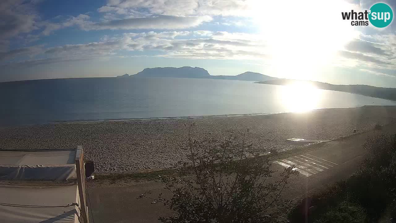 Der Strand von Pittulongu Live-Webcam Olbia – Sardinien – Italien