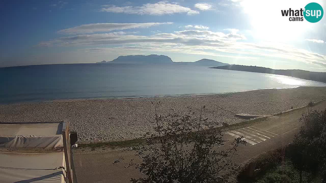 La playa de Pittulongu webcam en vivo Olbia – Cerdeña – Italia