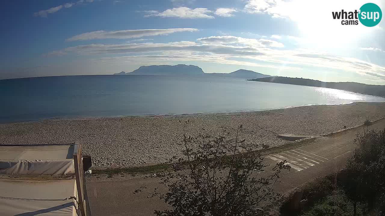 The beach of Pittulongu live webcam Olbia – Sardinia – Italy