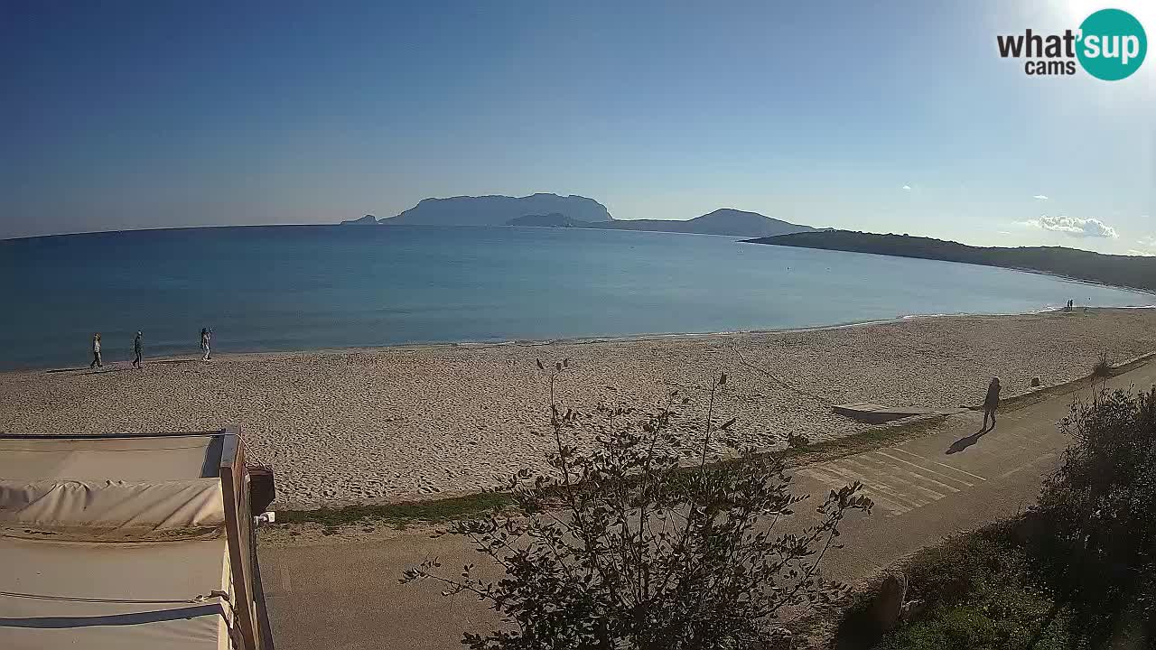 Plaža Pittulongu spletna kamera v živo Olbia – Sardinija – Italija