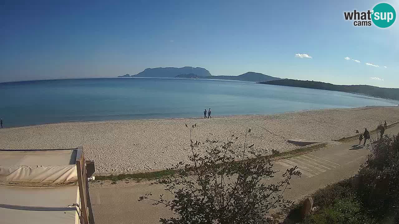 La webcam spiaggia Pittulongu vicino Olbia – Sardegna