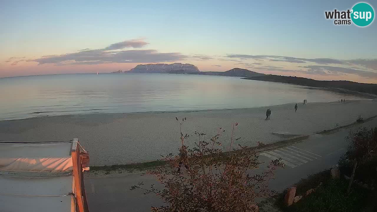 The beach of Pittulongu live webcam Olbia – Sardinia – Italy