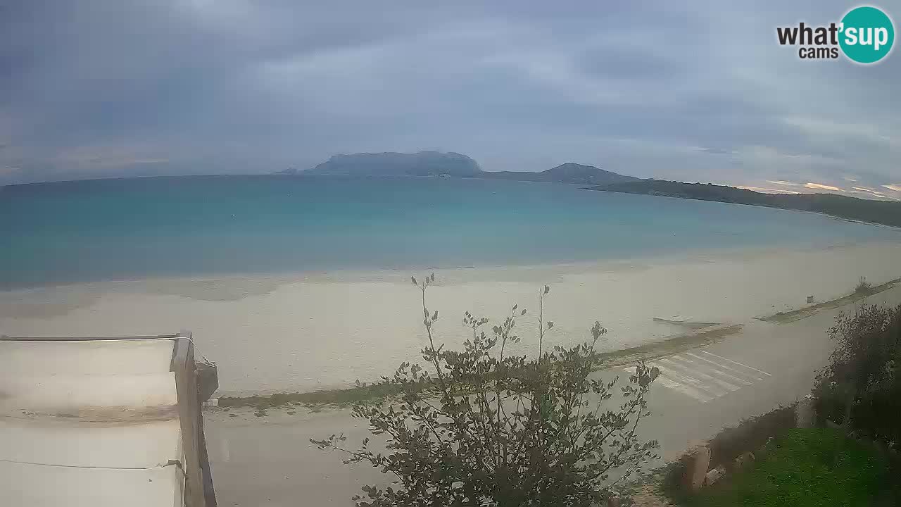 The beach of Pittulongu live webcam Olbia – Sardinia – Italy