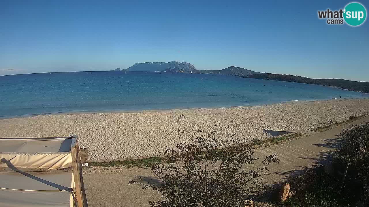 Plaža Pittulongu spletna kamera v živo Olbia – Sardinija – Italija