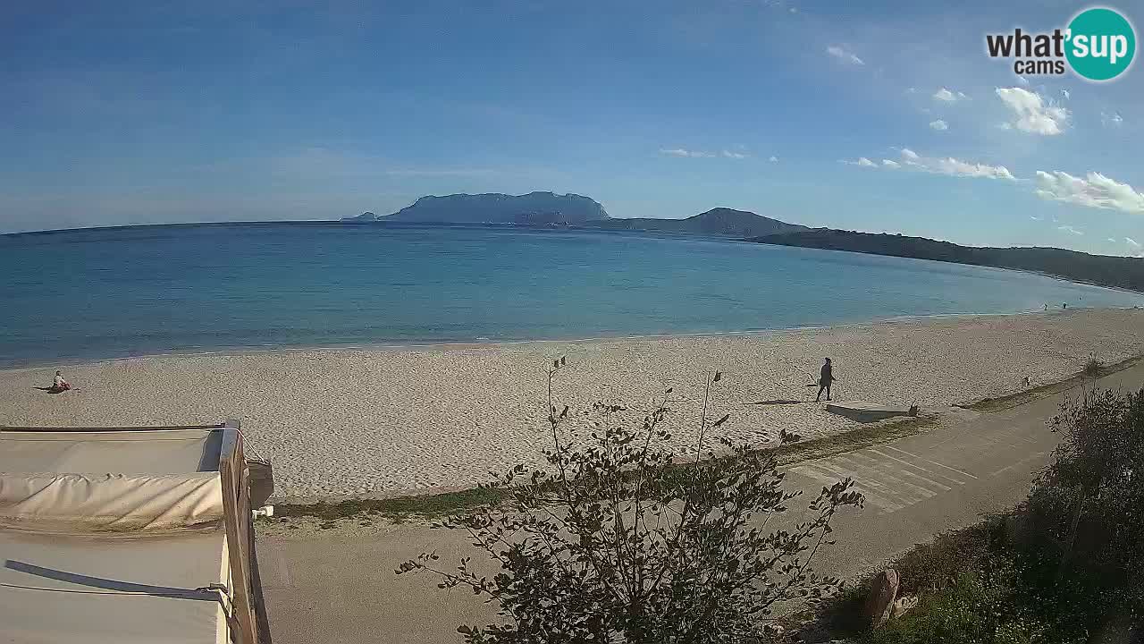 Plaža Pittulongu uživo web kamera Olbia – Sardinija – Italija