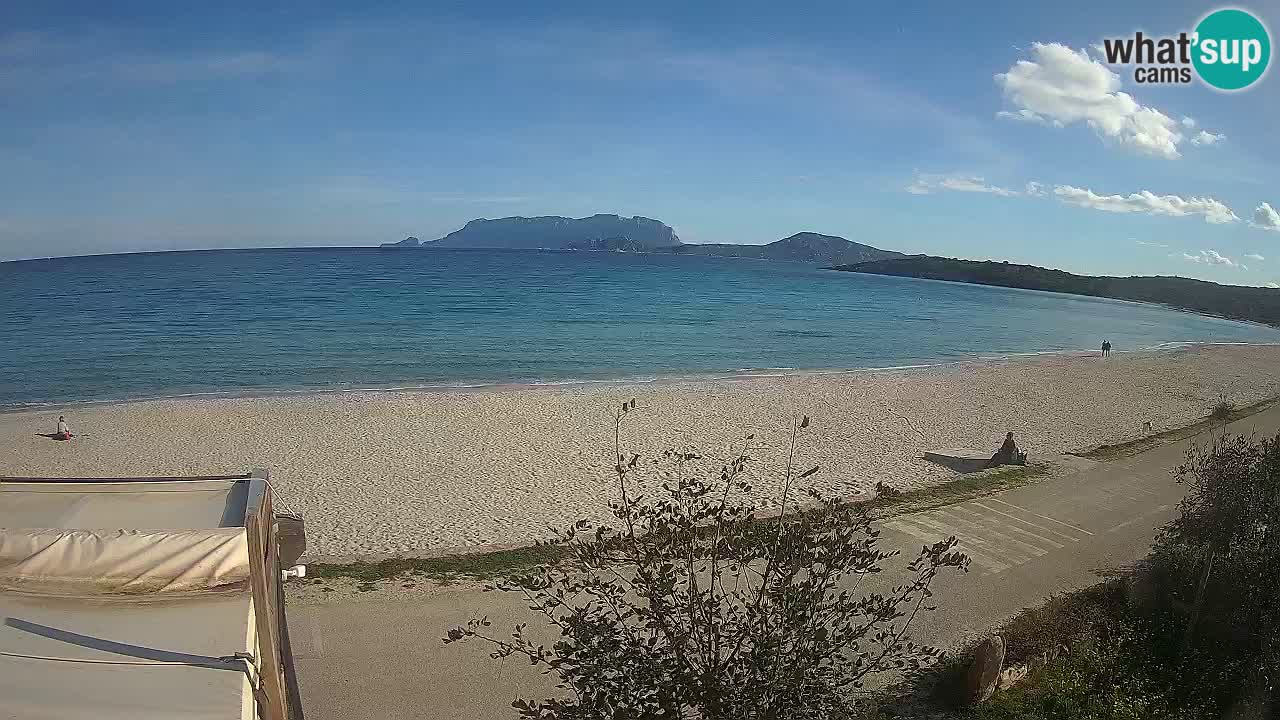 La webcam spiaggia Pittulongu vicino Olbia – Sardegna