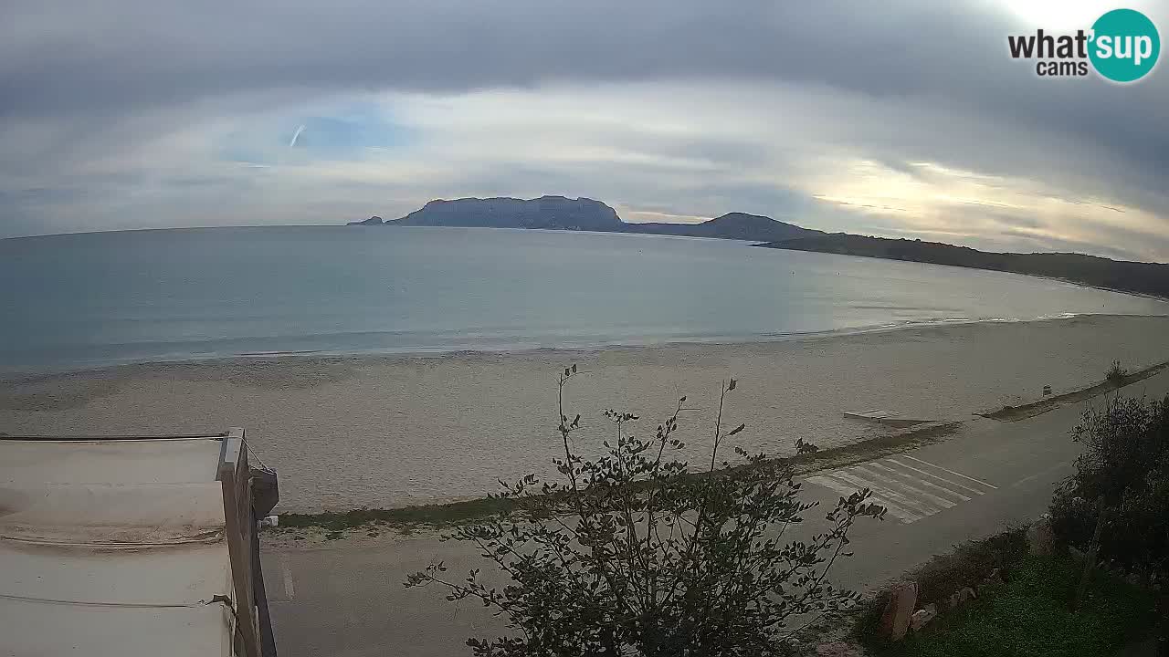 La webcam spiaggia Pittulongu vicino Olbia – Sardegna