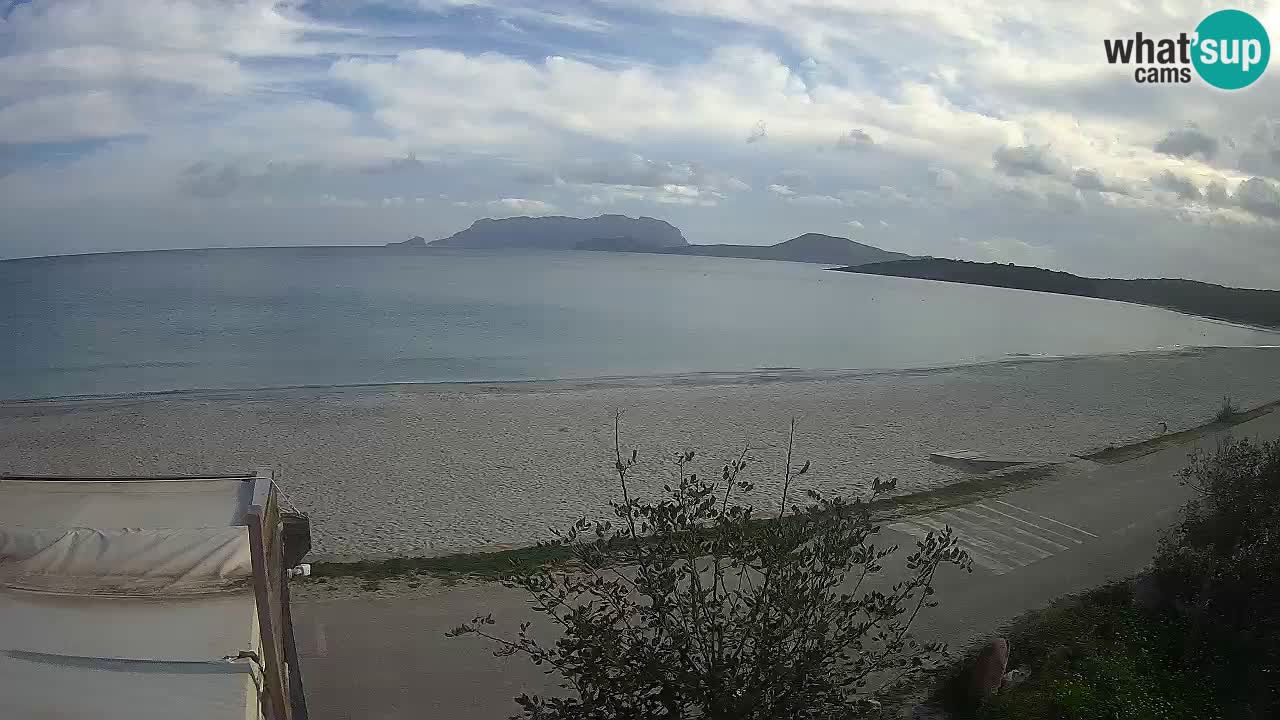 The beach of Pittulongu live webcam Olbia – Sardinia – Italy