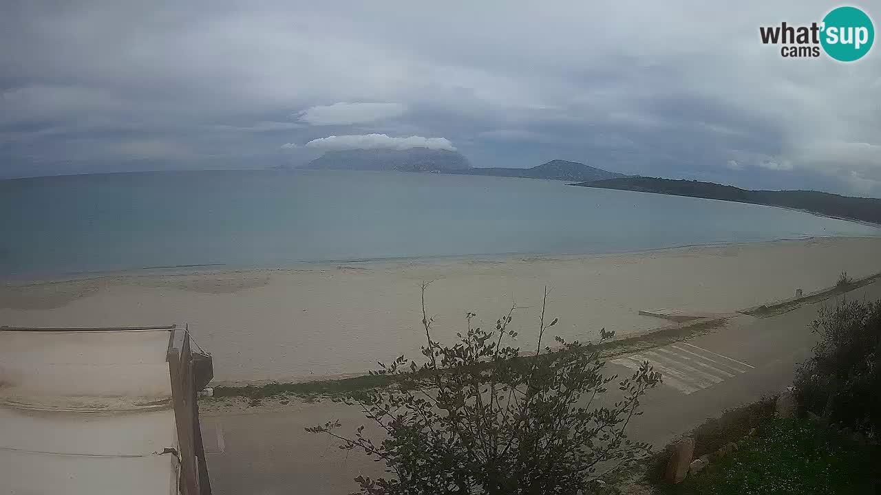 La plage de Pittulongu en direct webcam Olbia – Sardaigne – Italie