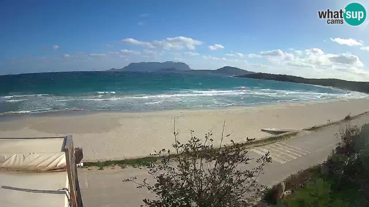 The beach of Pittulongu live webcam Olbia – Sardinia – Italy