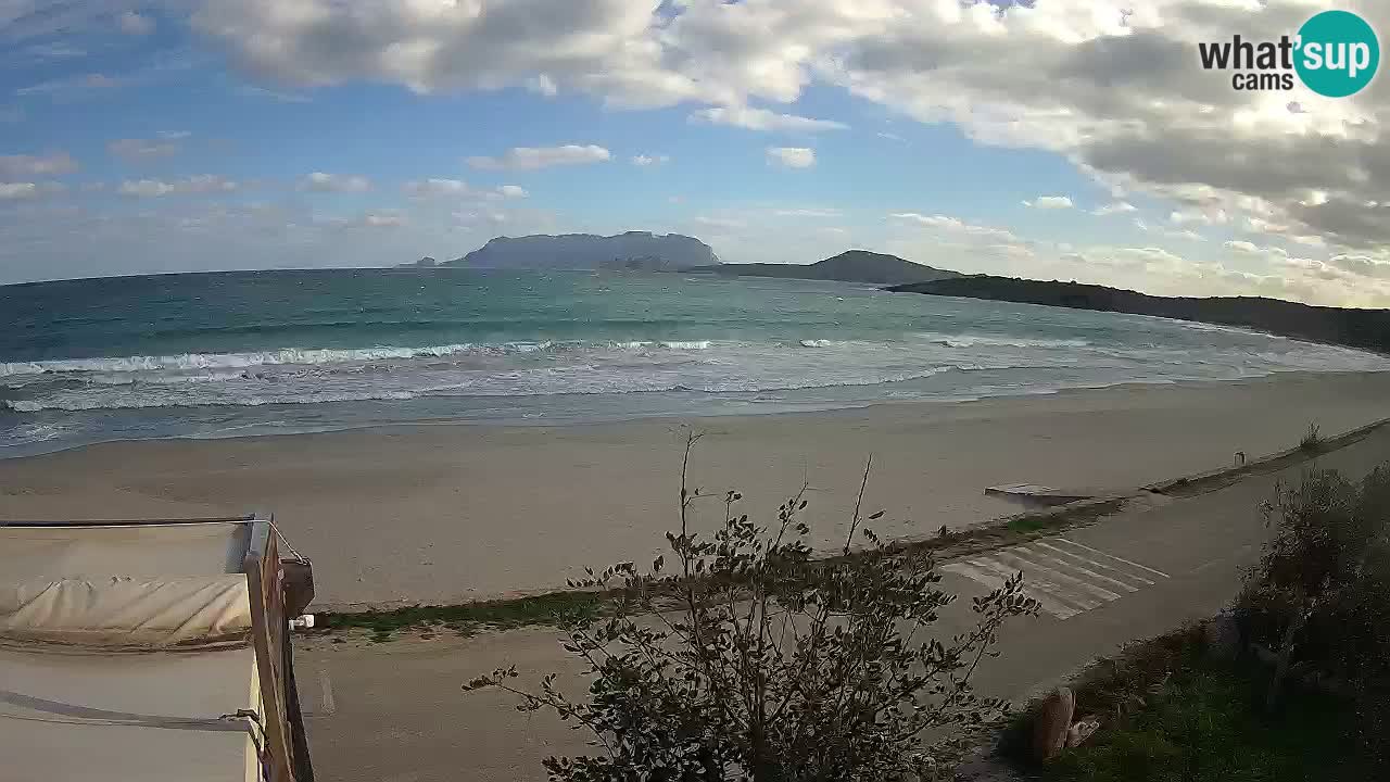 The beach of Pittulongu live webcam Olbia – Sardinia – Italy