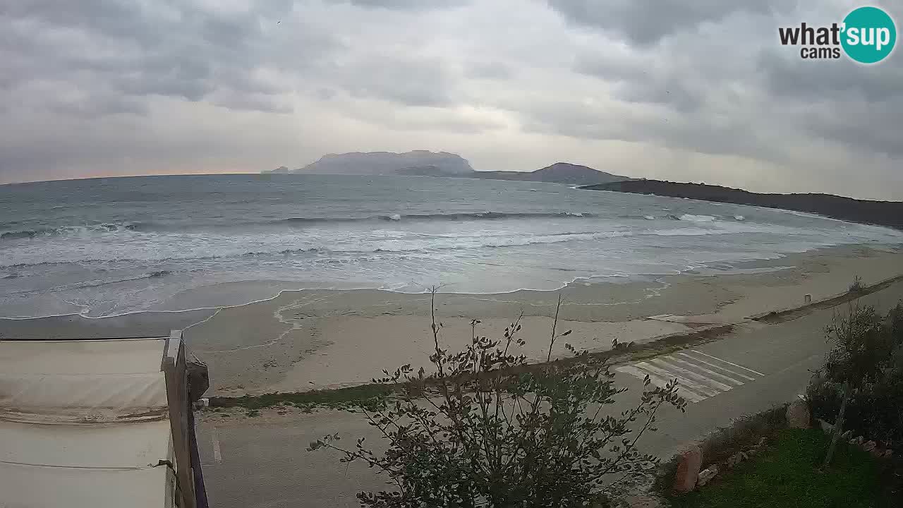 La webcam spiaggia Pittulongu vicino Olbia – Sardegna