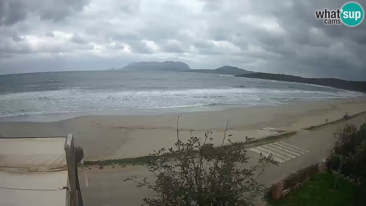 The beach of Pittulongu live webcam Olbia – Sardinia – Italy