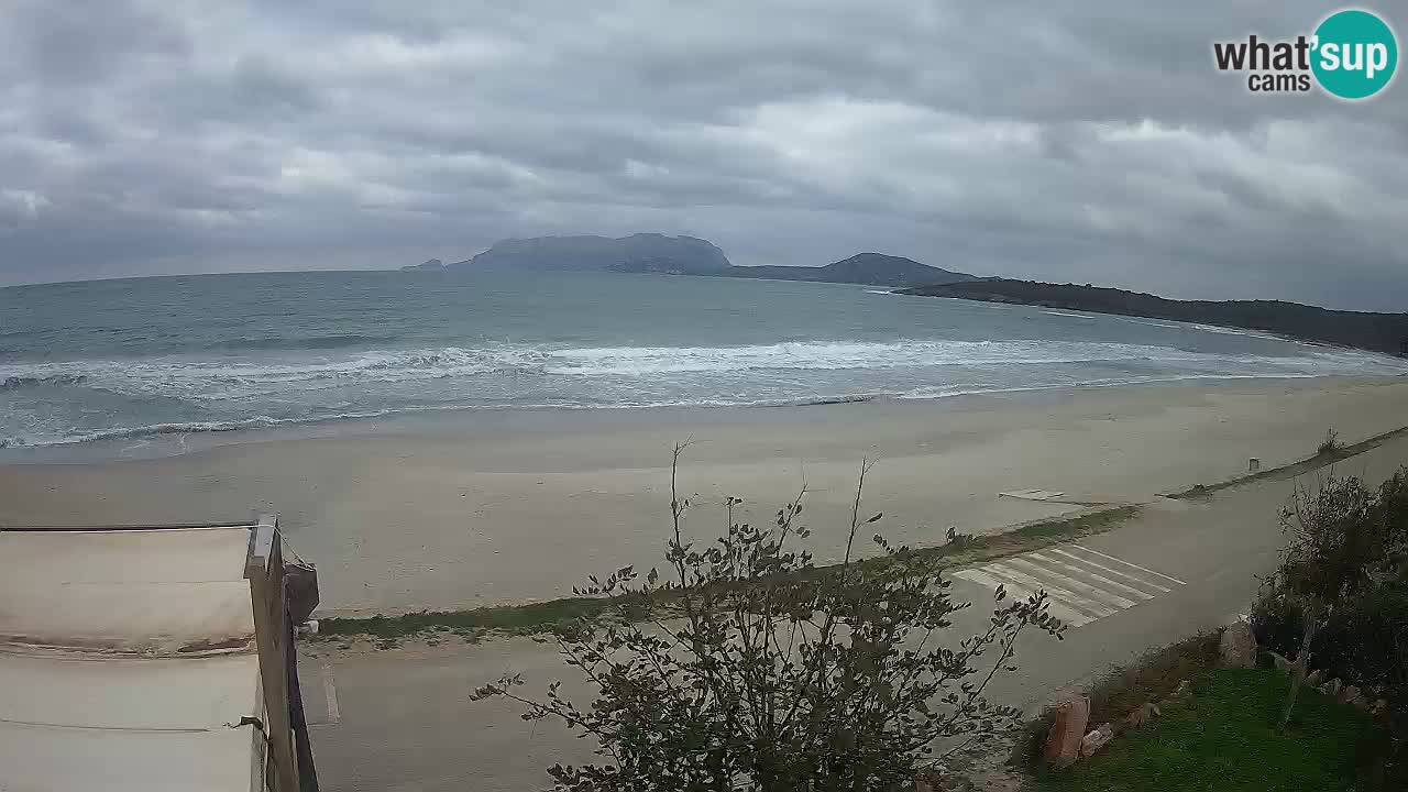 The beach of Pittulongu live webcam Olbia – Sardinia – Italy