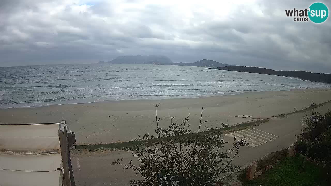 The beach of Pittulongu live webcam Olbia – Sardinia – Italy