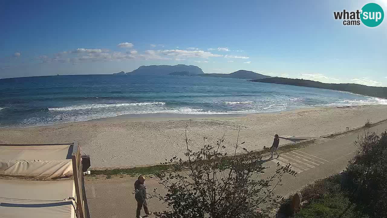 The beach of Pittulongu live webcam Olbia – Sardinia – Italy