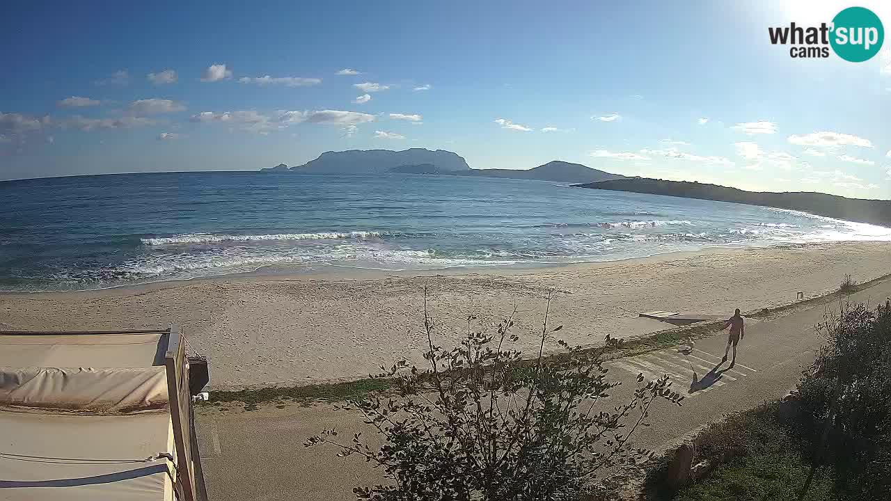 The beach of Pittulongu live webcam Olbia – Sardinia – Italy