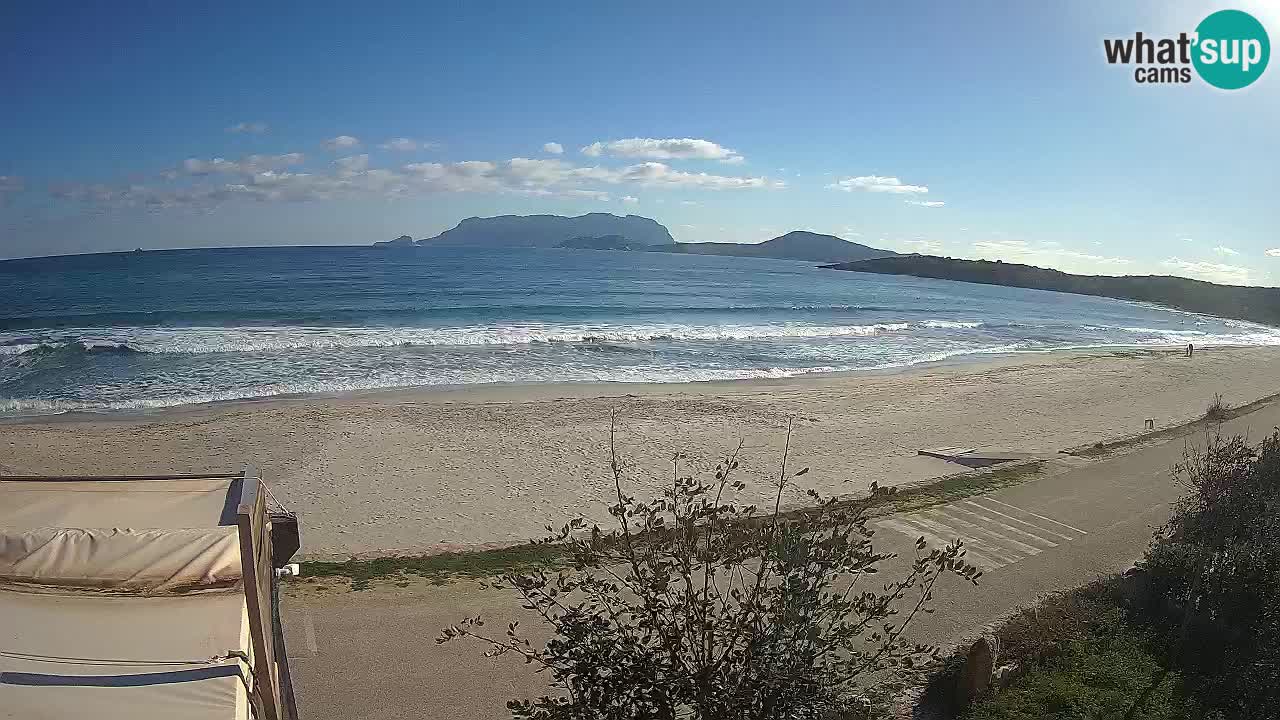 The beach of Pittulongu live webcam Olbia – Sardinia – Italy