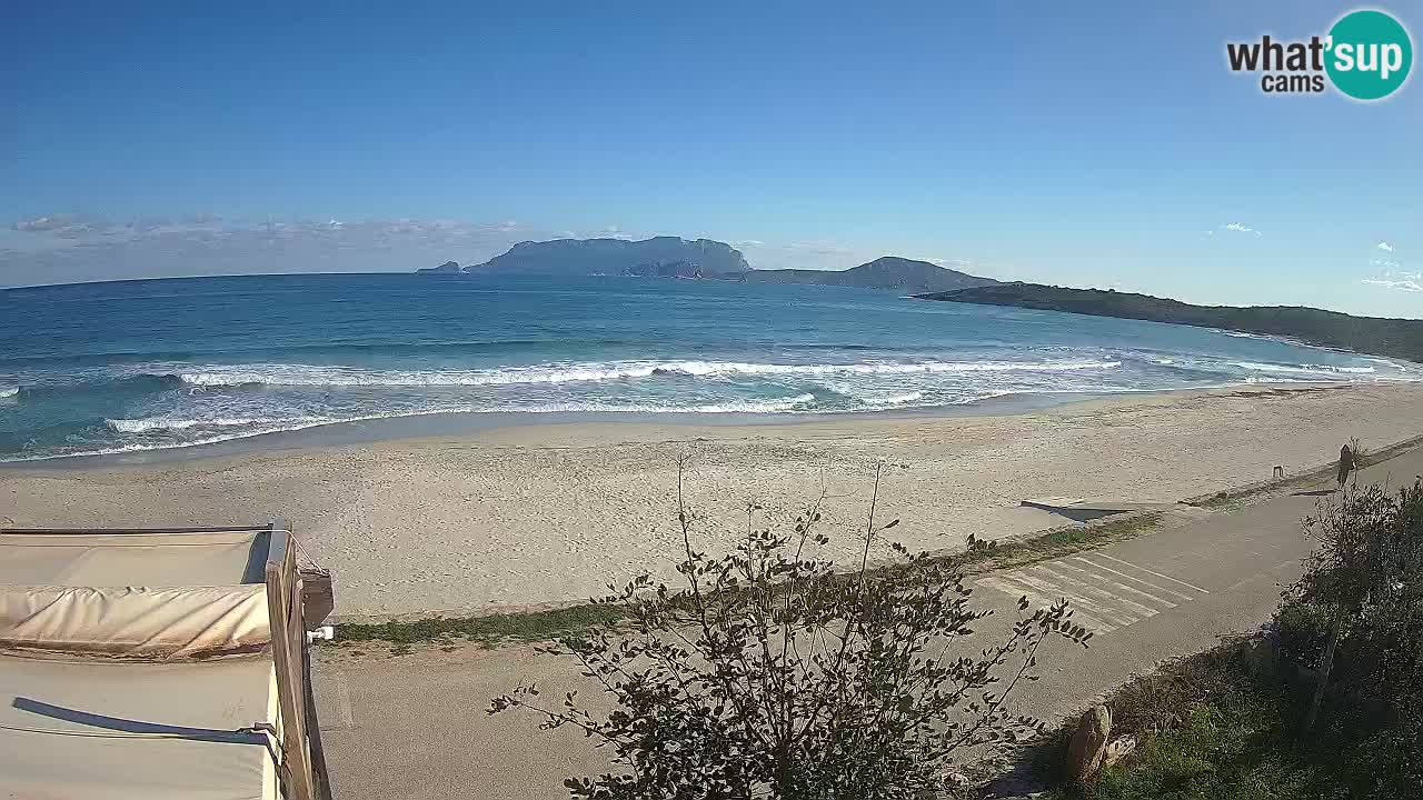 The beach of Pittulongu live webcam Olbia – Sardinia – Italy