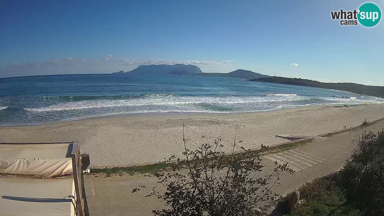 The beach of Pittulongu live webcam Olbia – Sardinia – Italy