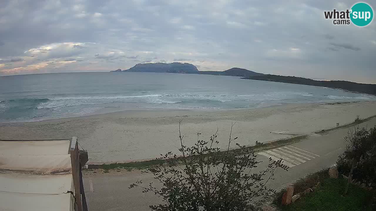 The beach of Pittulongu live webcam Olbia – Sardinia – Italy