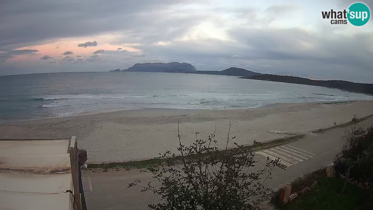 The beach of Pittulongu live webcam Olbia – Sardinia – Italy