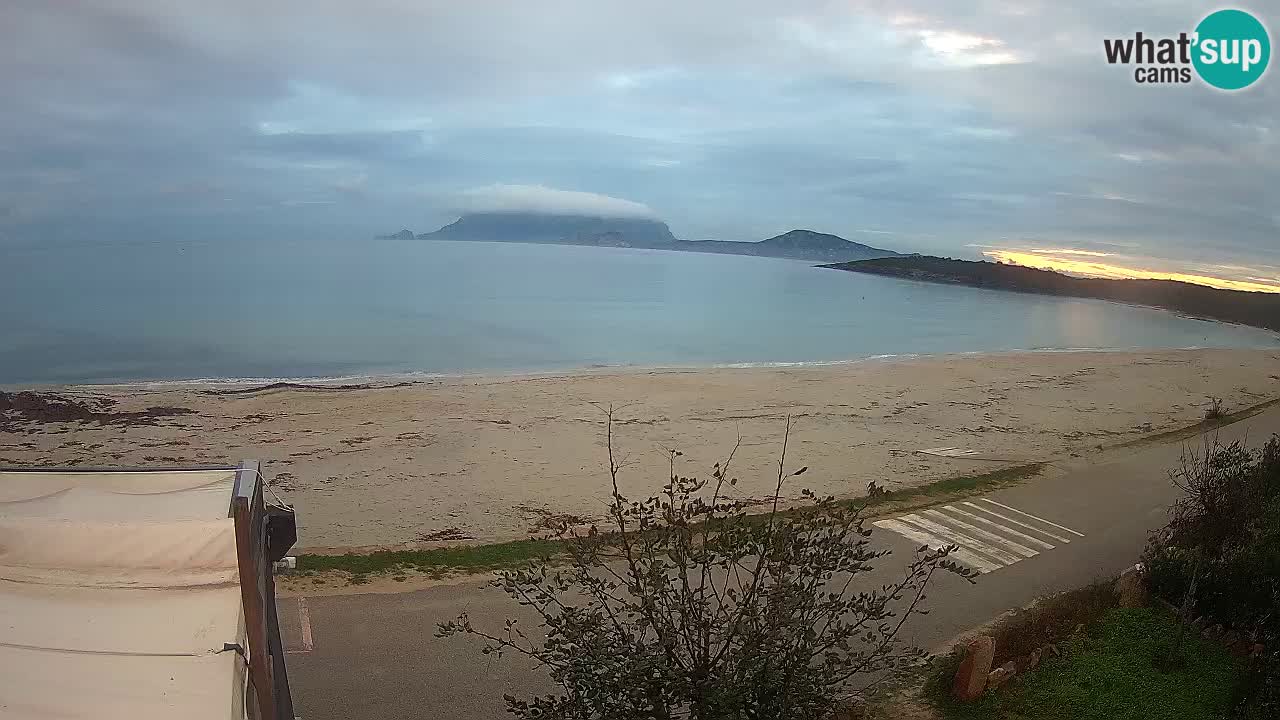 Der Strand von Pittulongu Live-Webcam Olbia – Sardinien – Italien