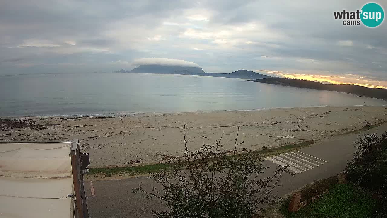 La plage de Pittulongu en direct webcam Olbia – Sardaigne – Italie