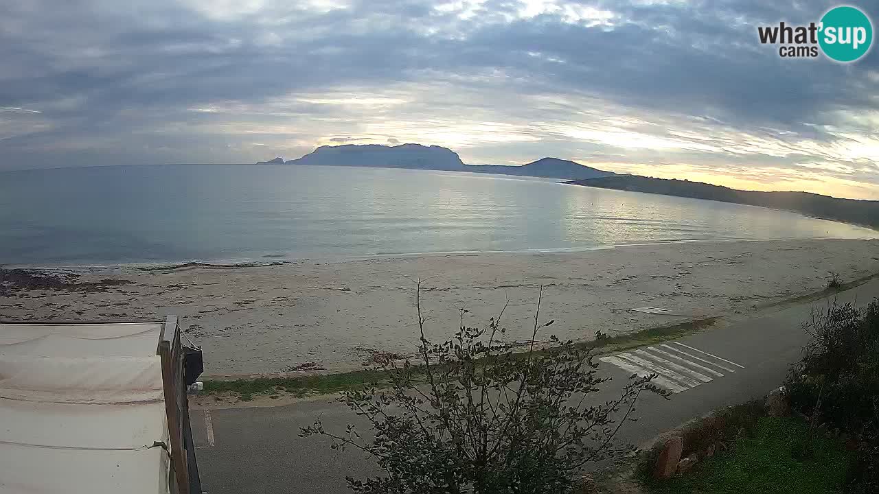 Der Strand von Pittulongu Live-Webcam Olbia – Sardinien – Italien