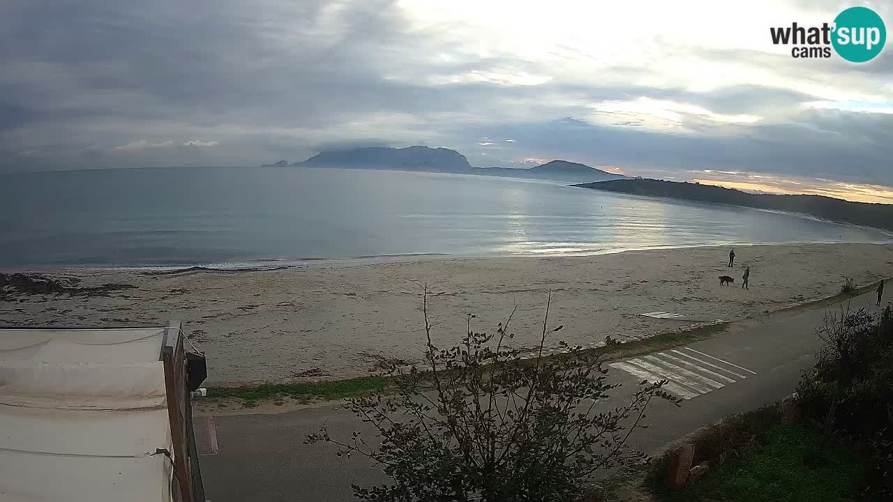 La playa de Pittulongu webcam en vivo Olbia – Cerdeña – Italia