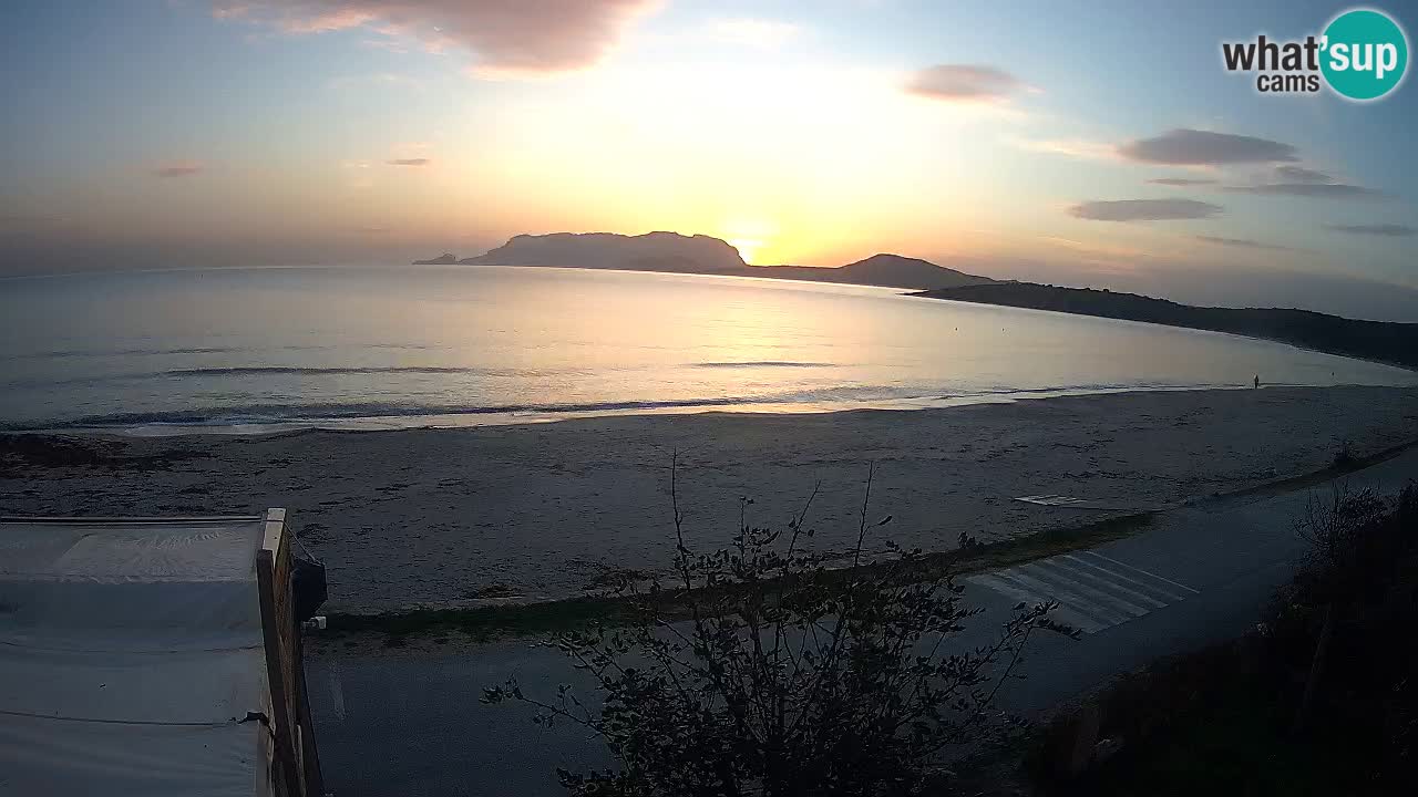 La plage de Pittulongu en direct webcam Olbia – Sardaigne – Italie