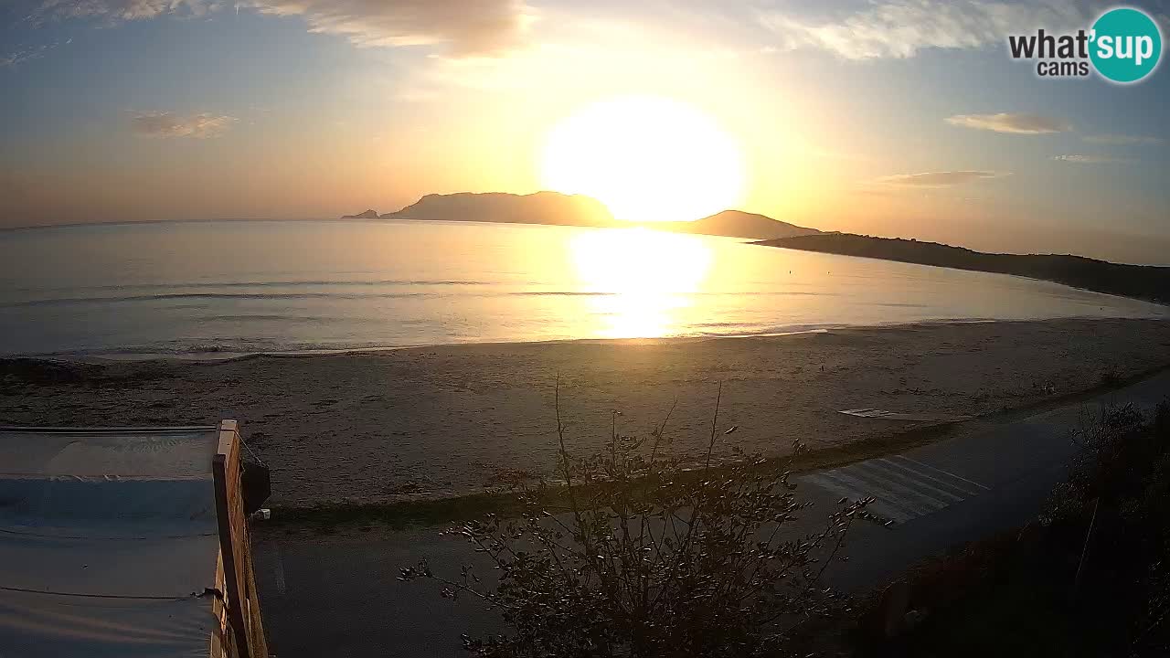 Der Strand von Pittulongu Live-Webcam Olbia – Sardinien – Italien