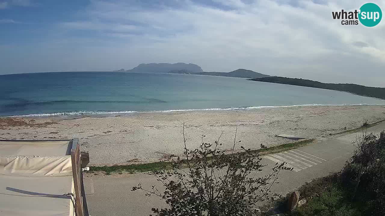 La webcam spiaggia Pittulongu vicino Olbia – Sardegna