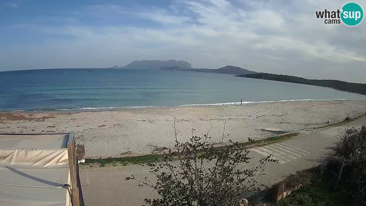 La webcam spiaggia Pittulongu vicino Olbia – Sardegna