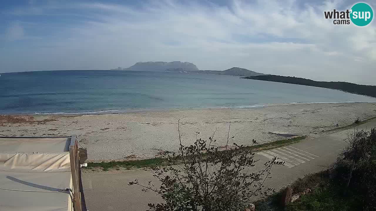 La plage de Pittulongu en direct webcam Olbia – Sardaigne – Italie