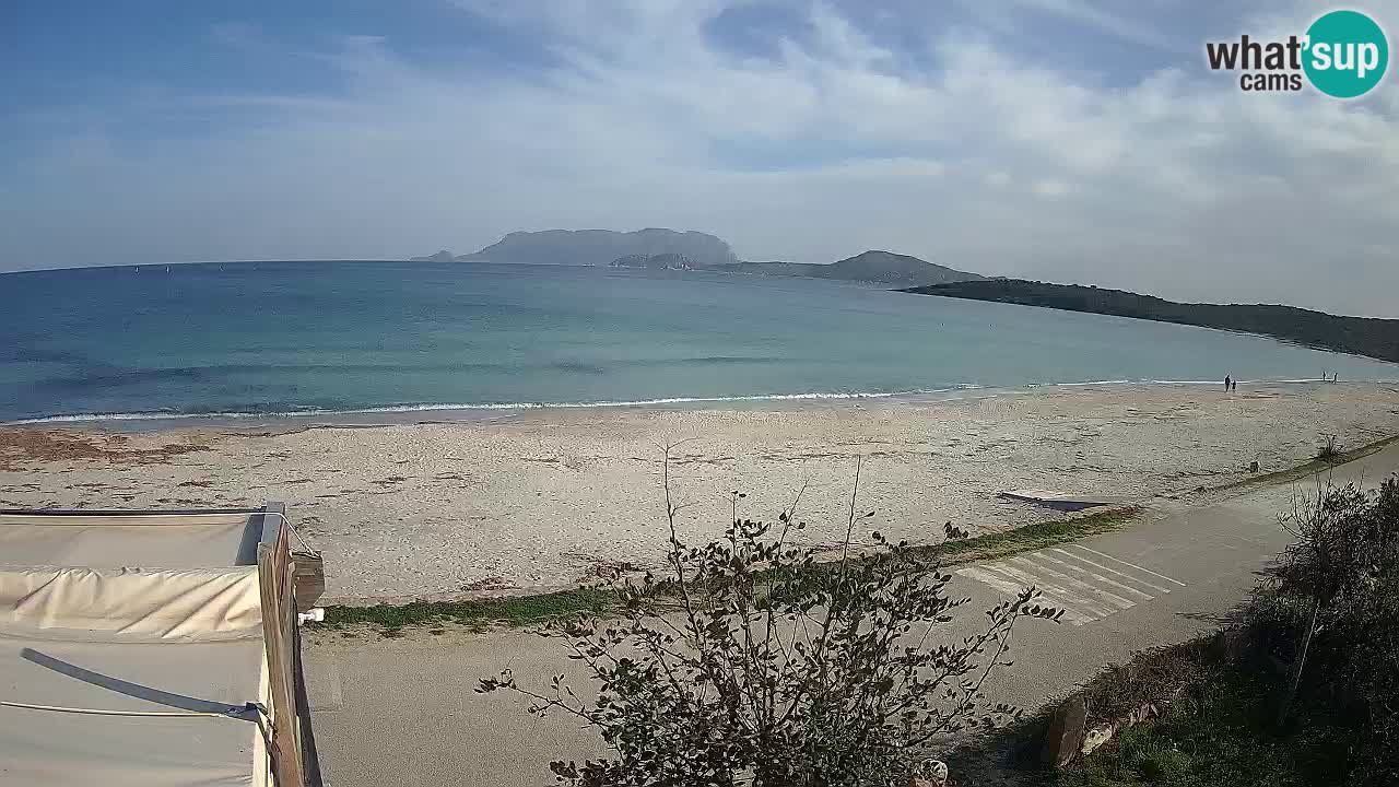 La plage de Pittulongu en direct webcam Olbia – Sardaigne – Italie