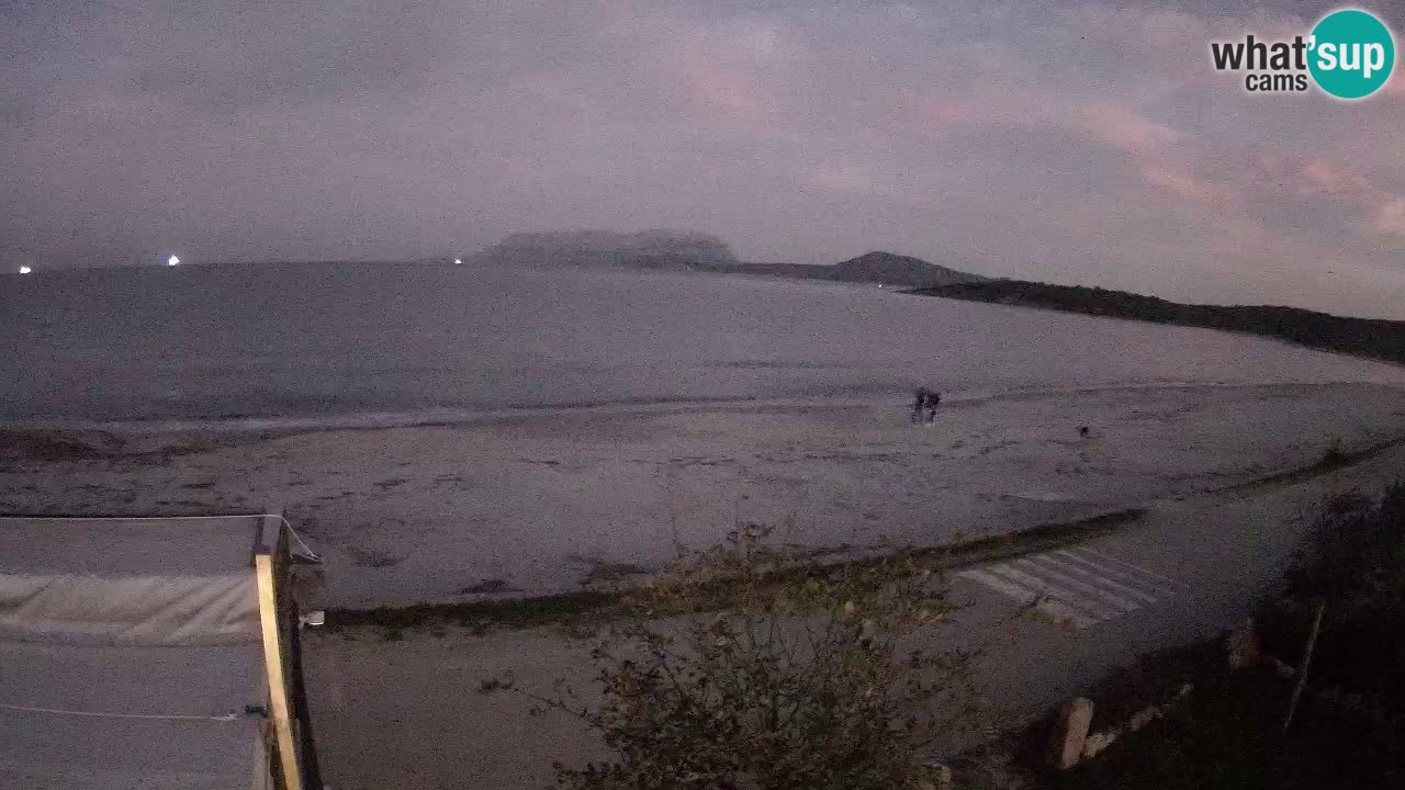 Der Strand von Pittulongu Live-Webcam Olbia – Sardinien – Italien