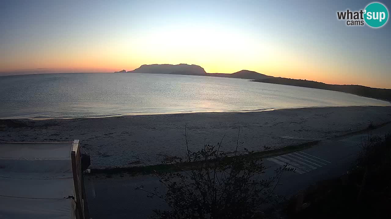 La webcam spiaggia Pittulongu vicino Olbia – Sardegna