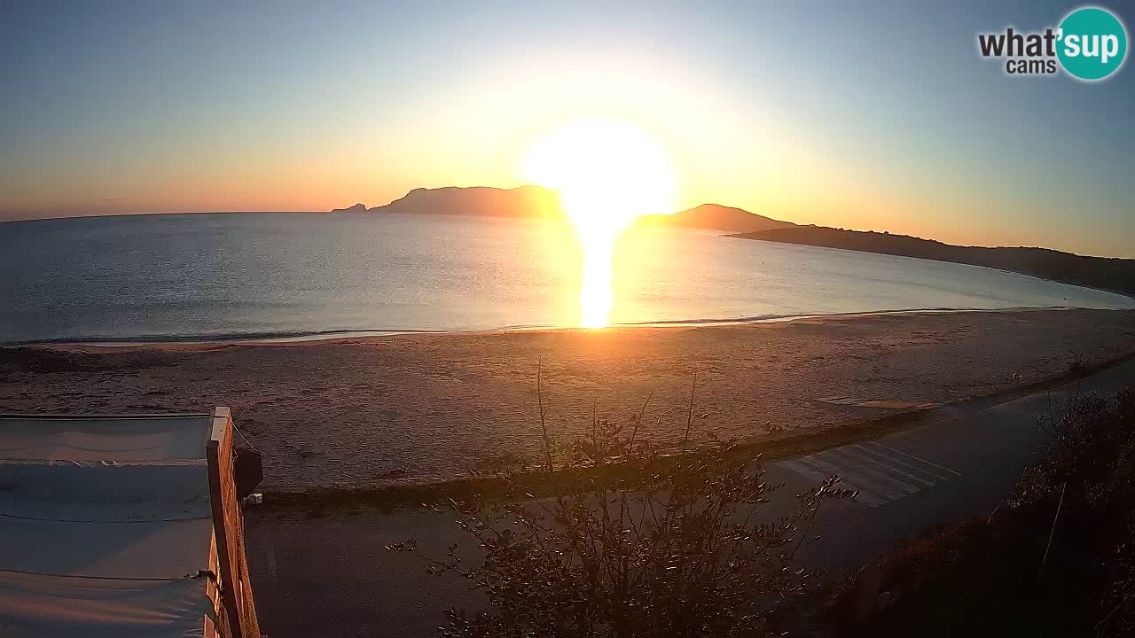 Der Strand von Pittulongu Live-Webcam Olbia – Sardinien – Italien