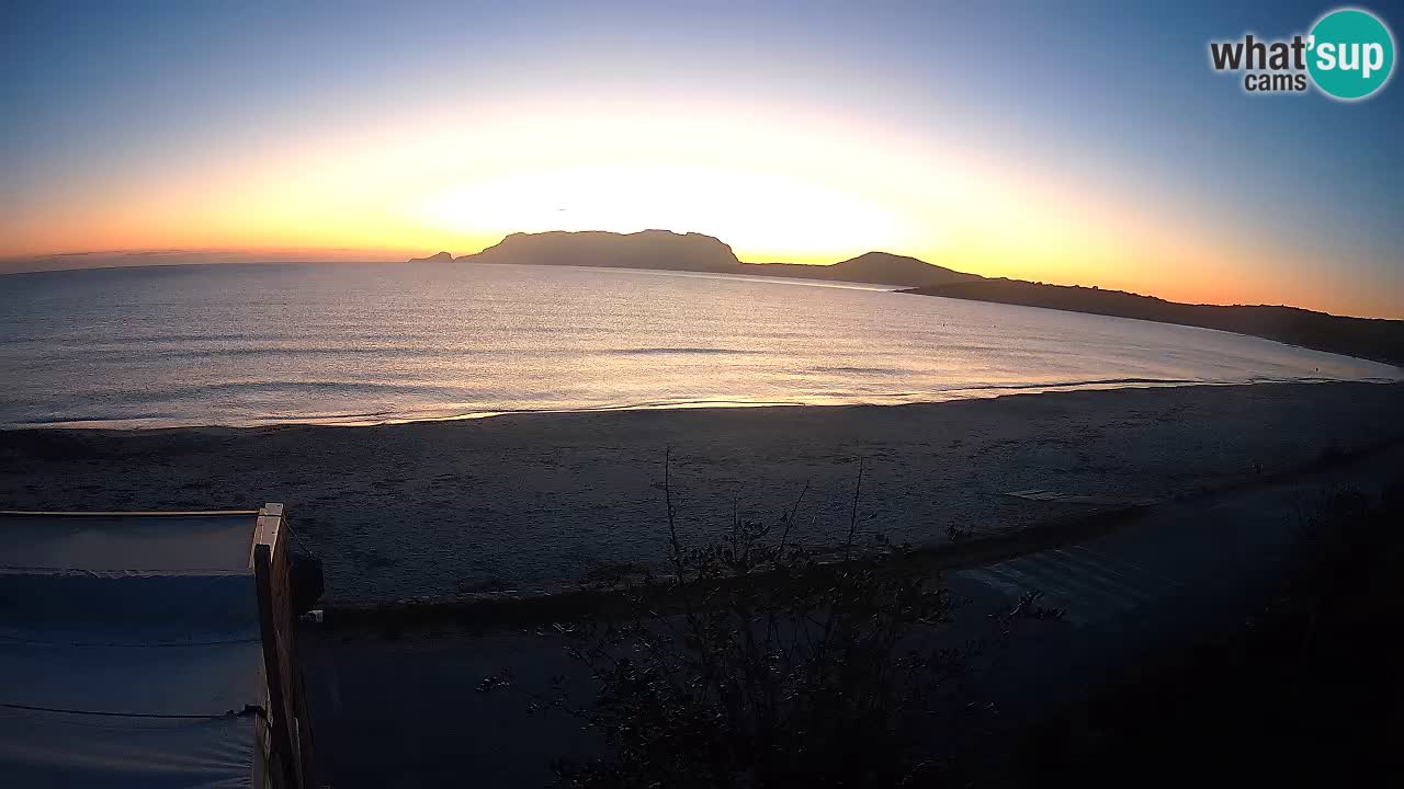 Der Strand von Pittulongu Live-Webcam Olbia – Sardinien – Italien