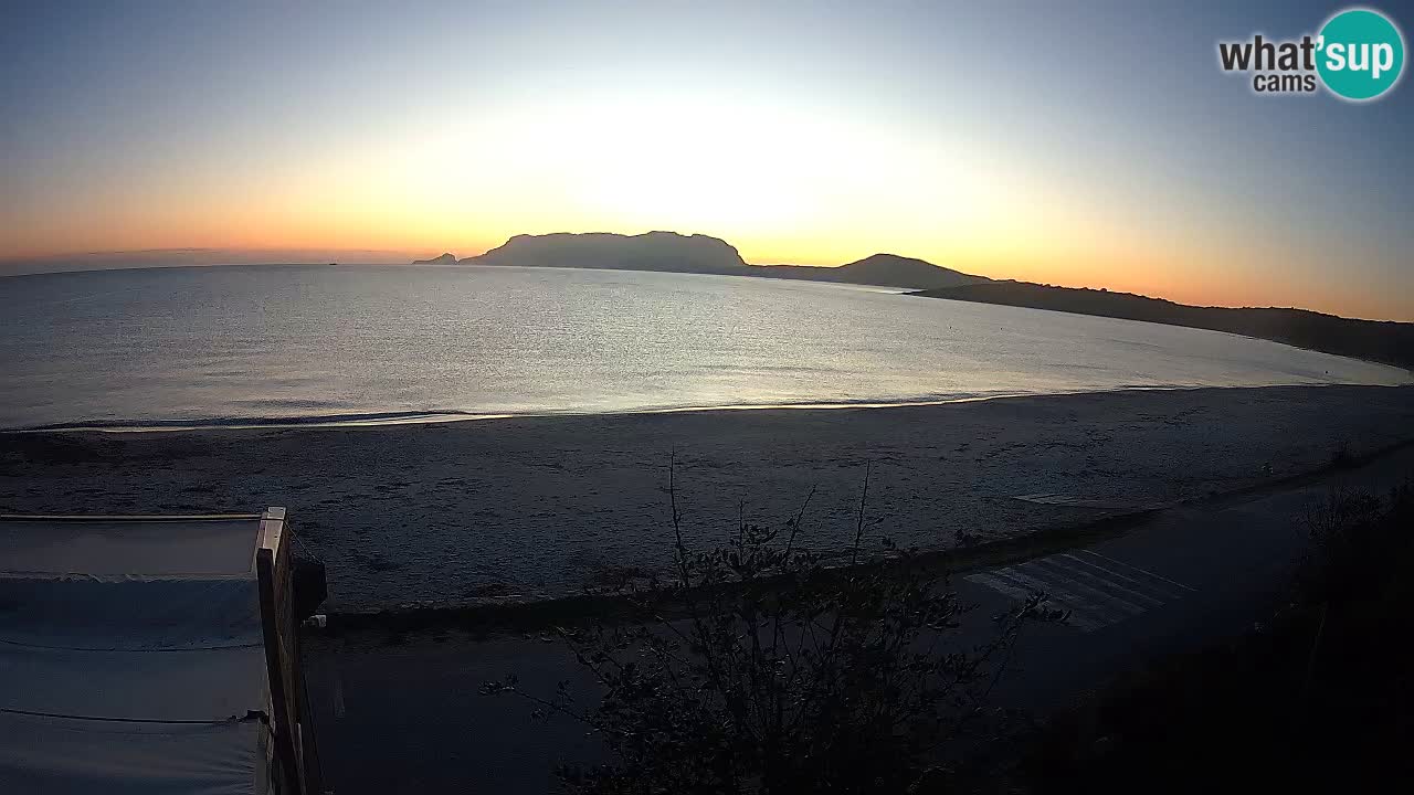 The beach of Pittulongu live webcam Olbia – Sardinia – Italy