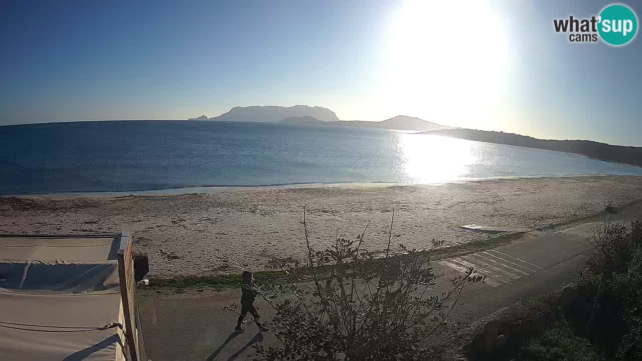 Der Strand von Pittulongu Live-Webcam Olbia – Sardinien – Italien