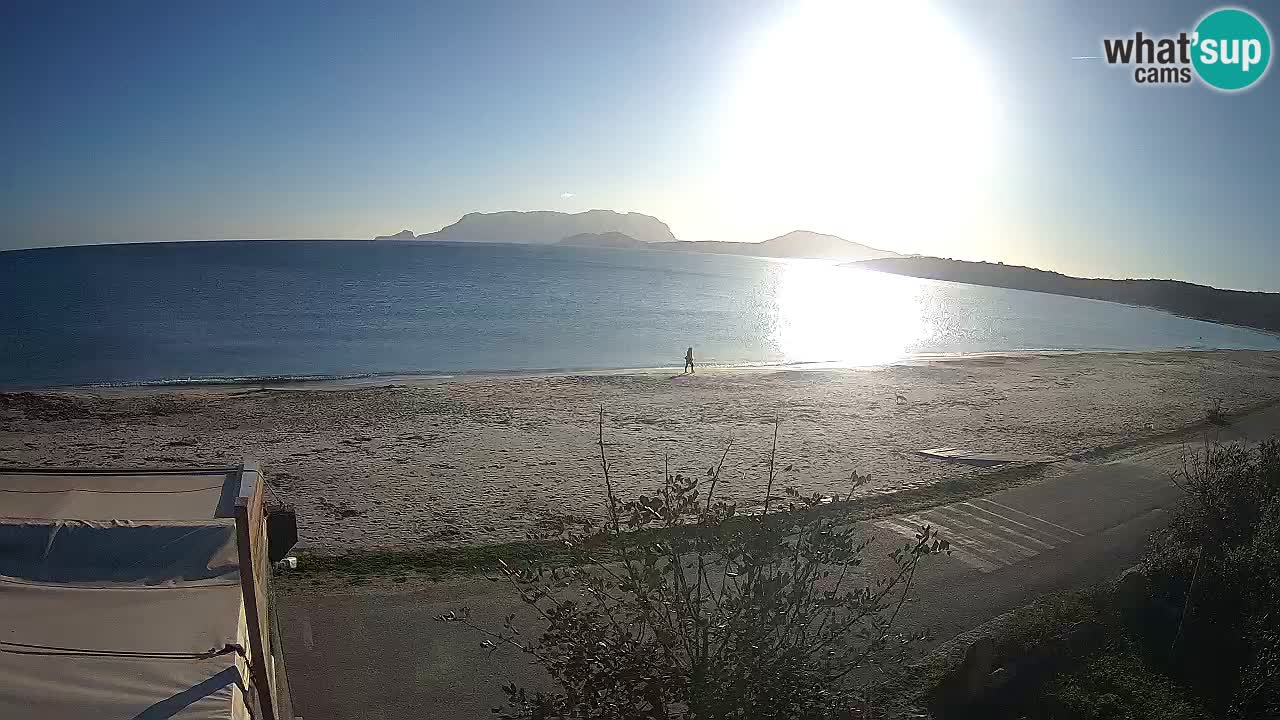 La plage de Pittulongu en direct webcam Olbia – Sardaigne – Italie