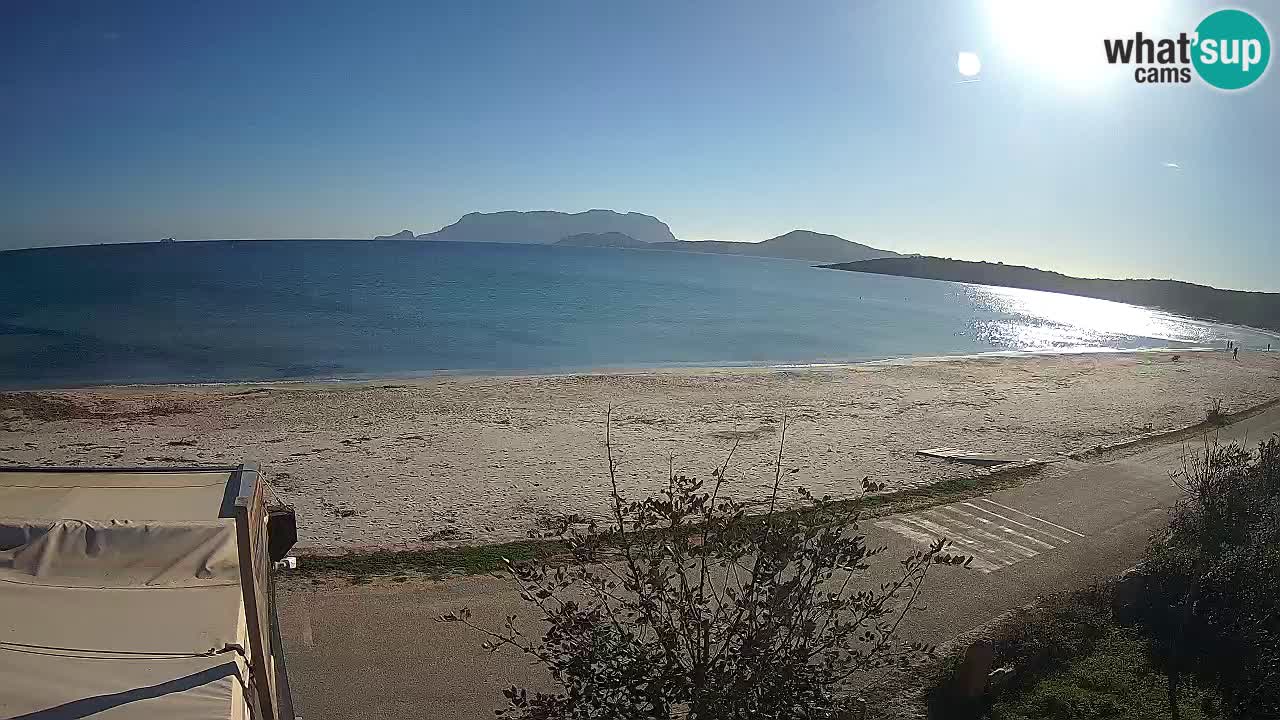 Plaža Pittulongu spletna kamera v živo Olbia – Sardinija – Italija