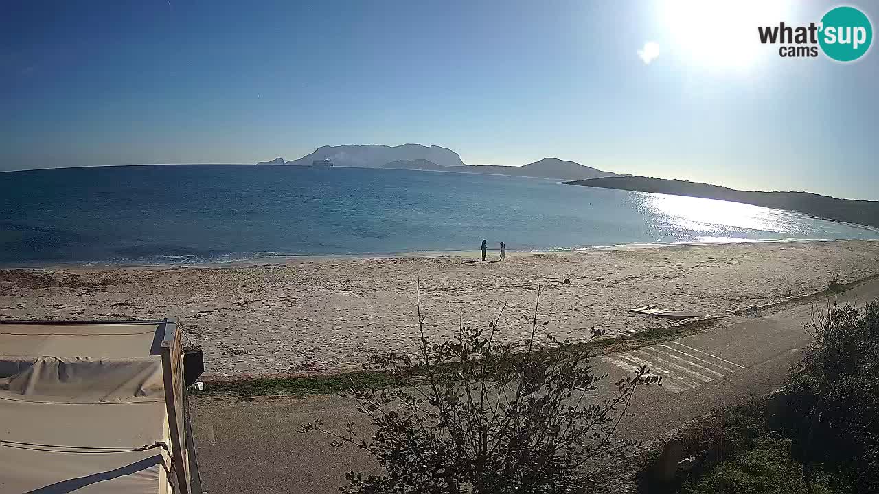 Plaža Pittulongu spletna kamera v živo Olbia – Sardinija – Italija